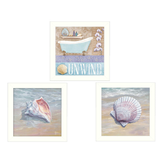 "Shells II Collection" 3-Piece Framed Wall Art Set by Mollie B. & G. Janisse | Coastal Prints, White Frame