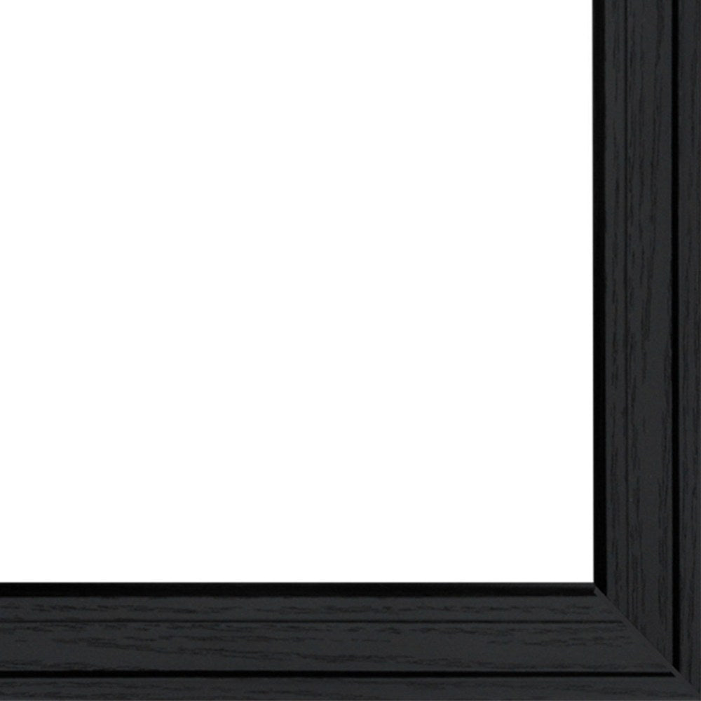 "Flowers Collection" 2-Piece Framed Wall Art Set by Ed Wargo | Botanical Prints, Black Frame