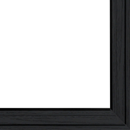 "Flowers Collection" 2-Piece Framed Wall Art Set by Ed Wargo | Botanical Prints, Black Frame