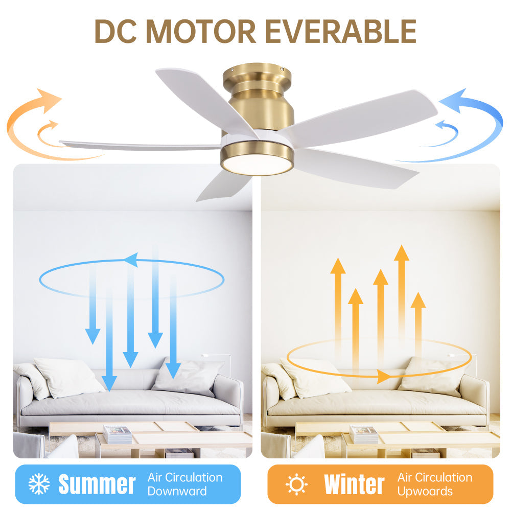 42" Flush Mount Ceiling Fan with LED Light & Remote – Dimmable 3CCT, Reversible DC Motor | Black, Gold & Black+Gold