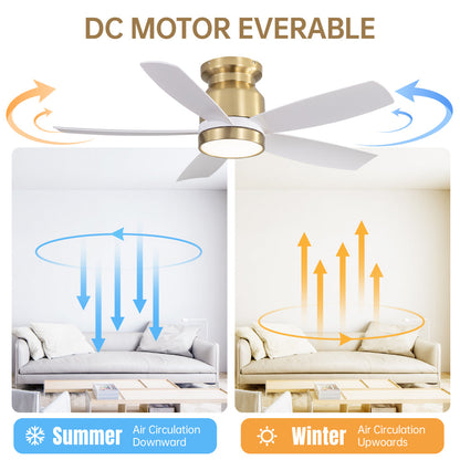 42" Flush Mount Ceiling Fan with LED Light & Remote – Dimmable 3CCT, Reversible DC Motor | Black, Gold & Black+Gold