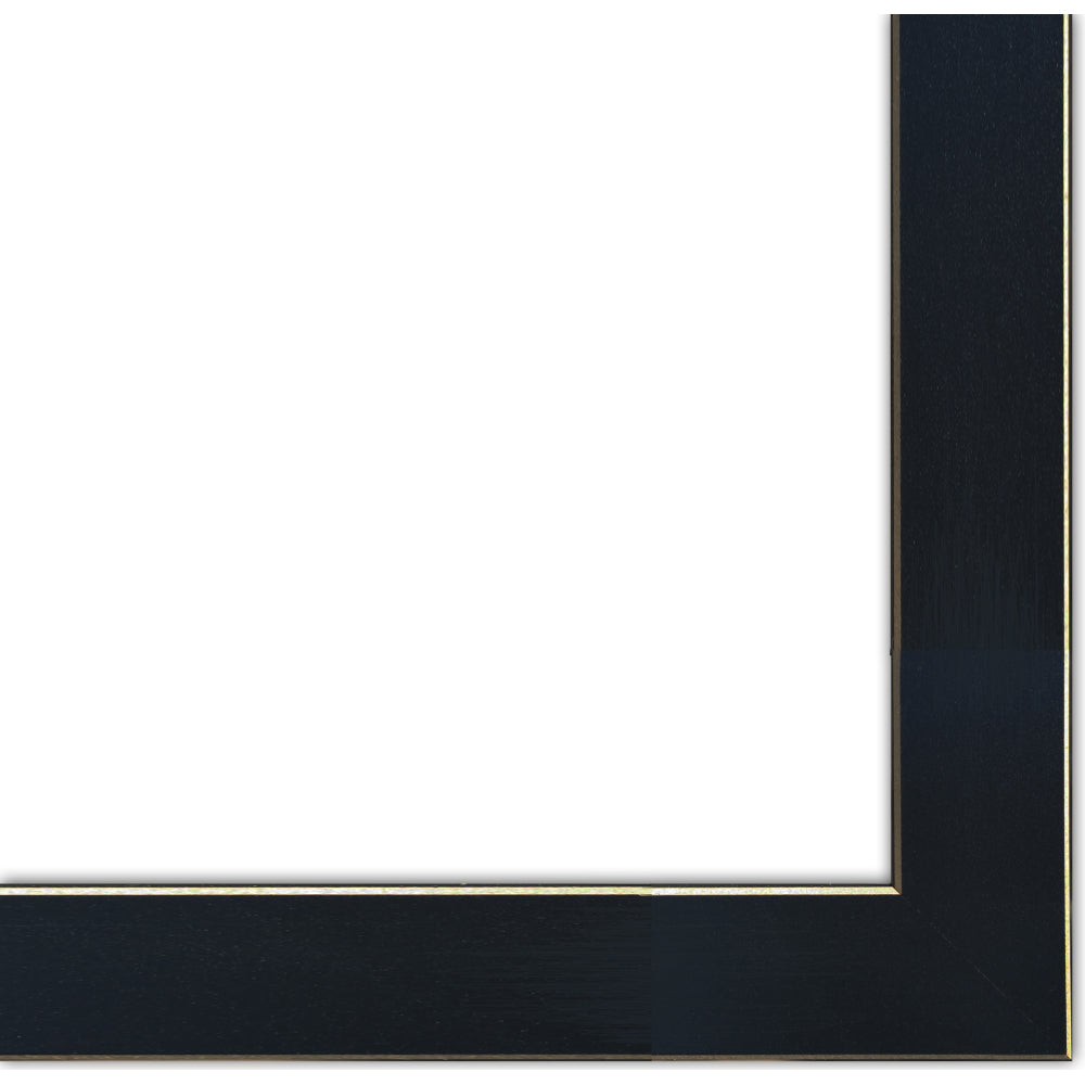 "Dog Rules" Framed Wall Art by Marla Rae | Funny Pet Print for Dog Lovers, Black Frame