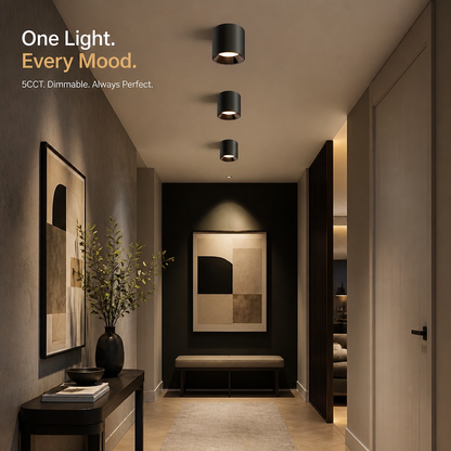 Modern Flush Mount Ceiling Light | 4.8" LED Cylinder Fixture for Hallway, 5CCT 3000K-6000K Dimmable, CRI90+