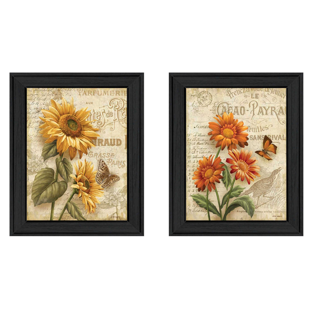 "Flowers Collection" 2-Piece Framed Wall Art Set by Ed Wargo | Botanical Prints, Black Frame