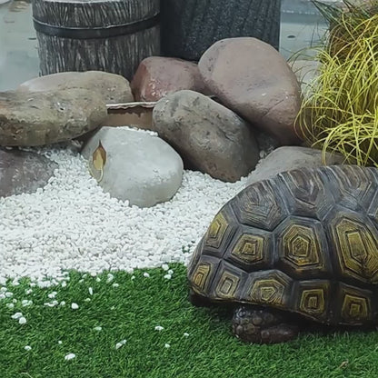 Realistic Wildlife Garden Statues | Hand-Painted Weatherproof Resin Outdoor Sculptures — 6 Designs